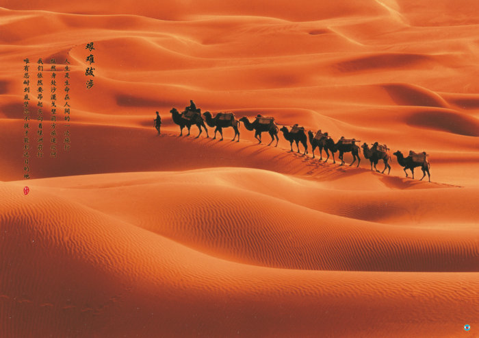 117 艰难跋涉.jpg