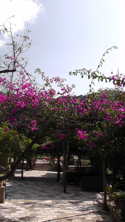 返璞归真——三分院一瞥