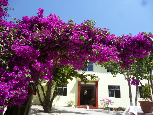 风景如画的世外桃源——三分院