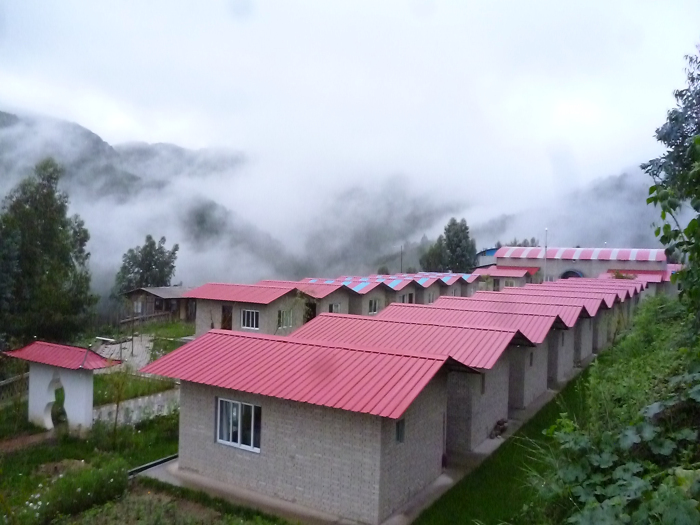 风情万种的生命绿洲