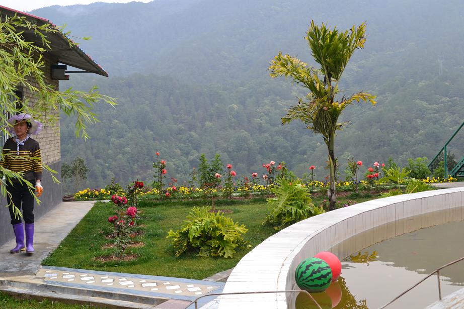 神奇美丽的生命绿洲-四分院