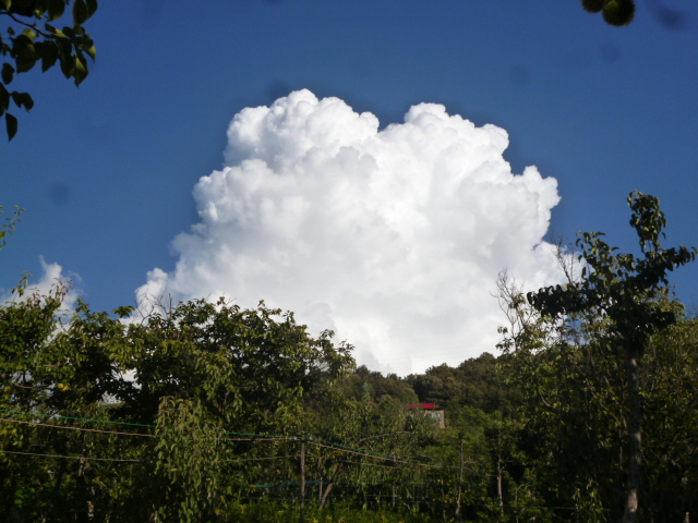 温馨美丽的生命绿洲三分院/雪峰