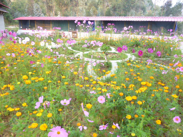 家园现在是秋天还是春天/雪峰